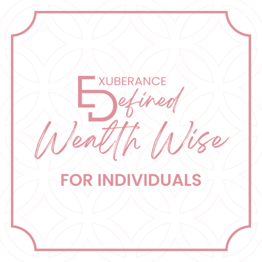 Wealth Wise Coaching – Individual